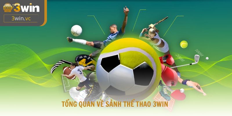 Tổng quan về sảnh thể thao 3WIN với hệ thống đối tác uy tín